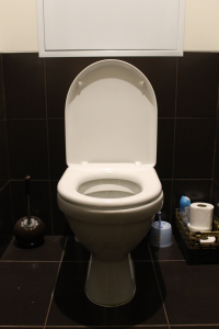 toilet